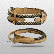 Dog Collars